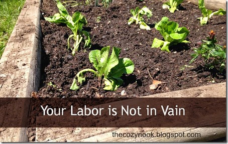 Your Labor is Not in Vain - The  Cozy Nook