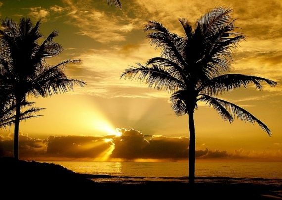 Nascer do Sol nascer do sol
