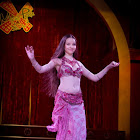 Document Name_3_177.JPG