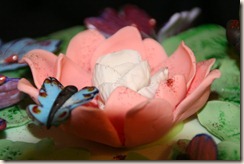 IMG_5387 IMG_5387