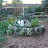Jennifers Concord Garden Jennifers Concord Garden
