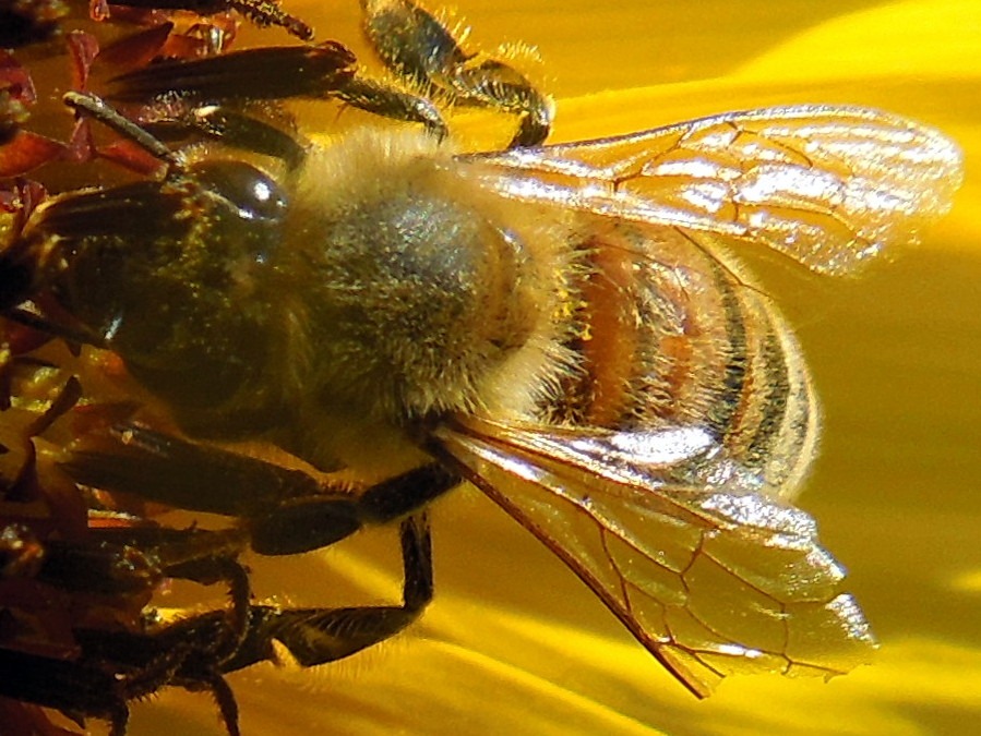 [DSCN3615%255B3%255D.jpg]