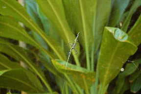 DSC_0032.JPG