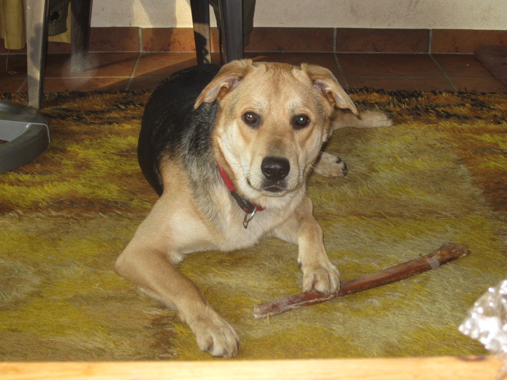 [IMG_0697%255B3%255D.jpg]