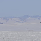 DSC_5188.jpg