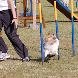 HH DAL 2008 2. kvartal