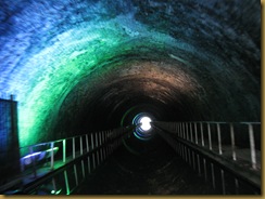 IMG_0022 Newbold Tunnel
