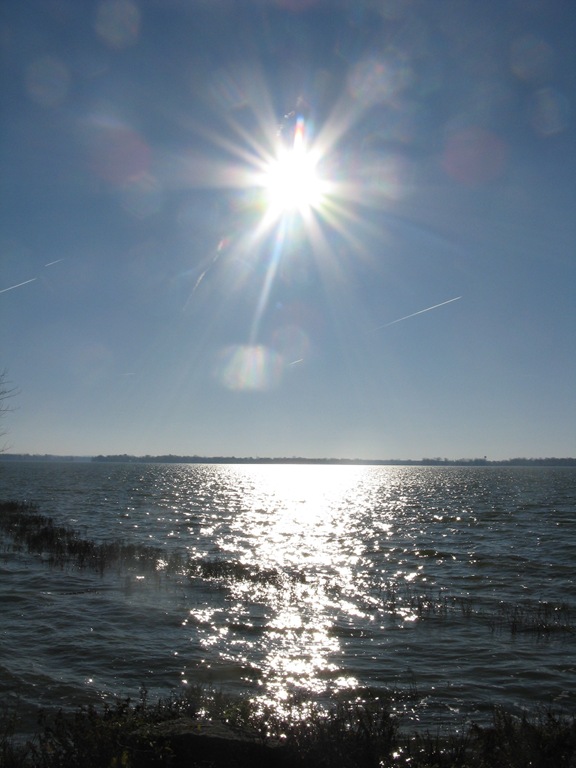 [IMG_01434.jpg]