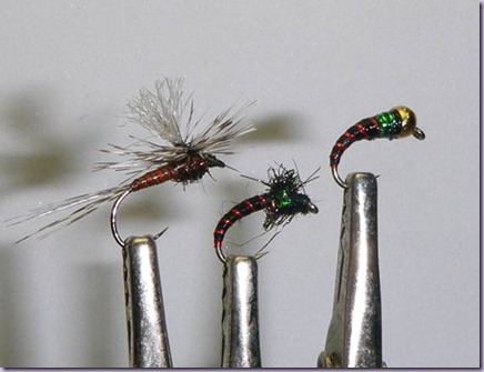 clip_image038 clip_image038