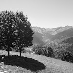 DSC03251.JPG
