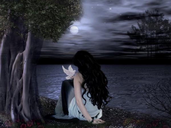 Beauty And A Bird At Night, Magic Beauties 3