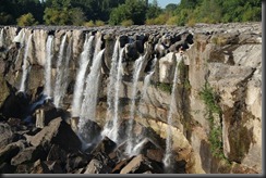 IMG_2136 IMG_2136