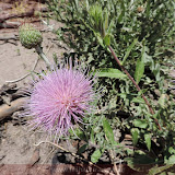 Bandelier Natl Monument- Santa Fé, AZ