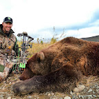 Dud Bear 2381.jpg