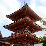 ancient shrine in kyoto in Kyoto, Japan 