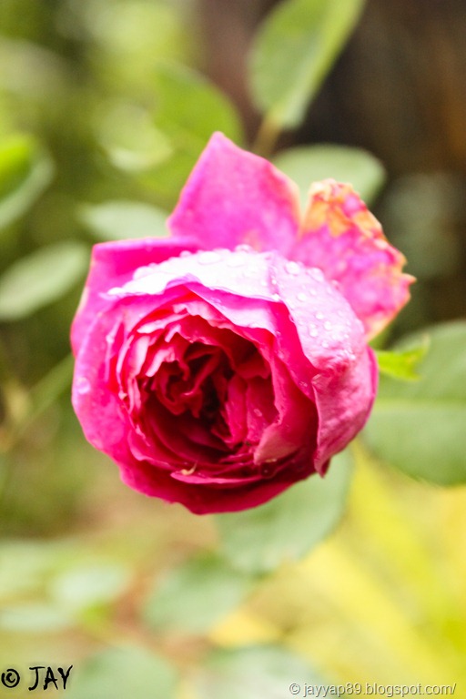 [IMG_95563.jpg]