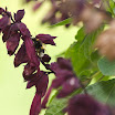 IMG_20070817_3896.jpg