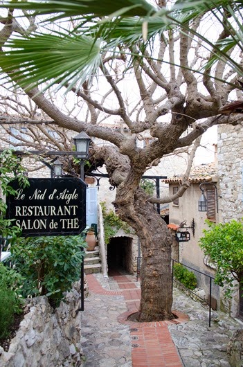 [Eze-16%255B8%255D.jpg]