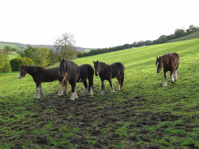 [Image00010%255B3%255D.jpg]