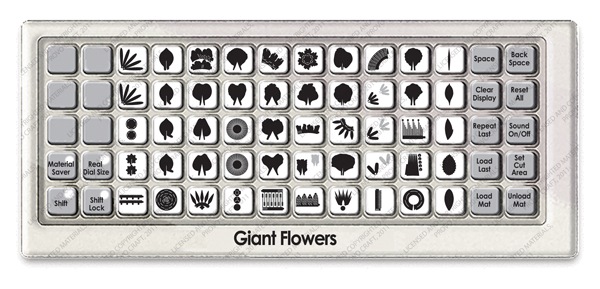 [2001194-Giant-Flower_overlay%255B4%255D.jpg]