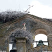 Albuera 1811-2011 PiotrZurek-1143.jpg