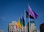 SanFranJan2012-2.jpg