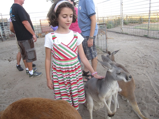 [IMG_8589%255B2%255D.jpg]