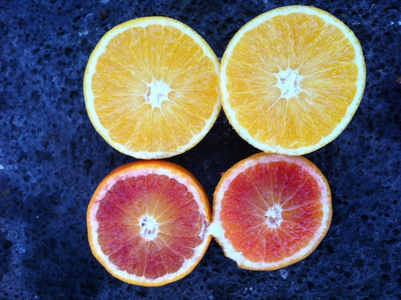 [Photo%252029-11-11%252007%252035%252025%255B2%255D.jpg]