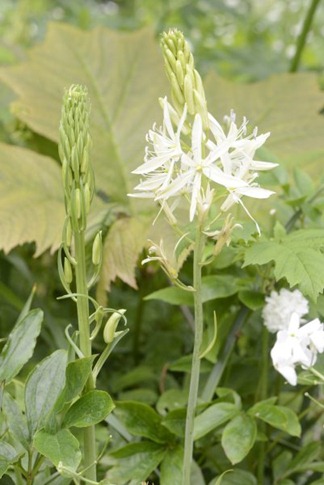 claus20120614_190437