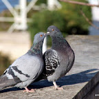 20100401_163.JPG