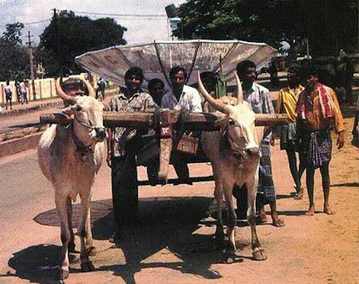 It Happens only in India - Funny Pictures