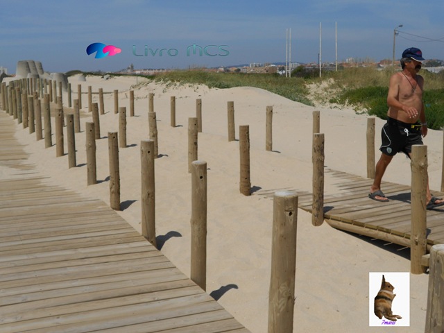 [Bolg%2520Gazeta%2520de%2520Espinho002%2520Livro%2520MCS%255B2%255D.jpg]