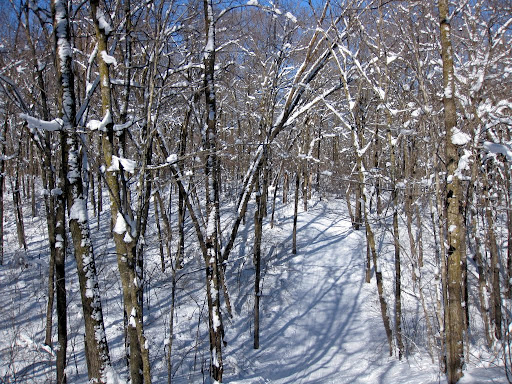 Hills of North Loup