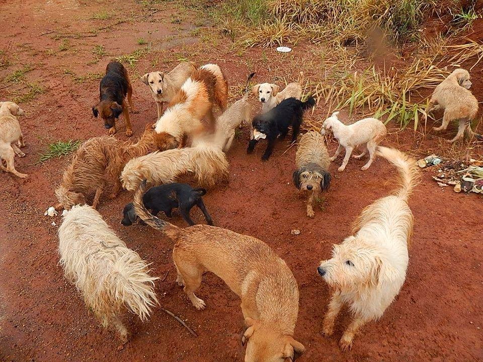 [cb14%255B2%255D.jpg]