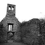 50_millefont.jpg