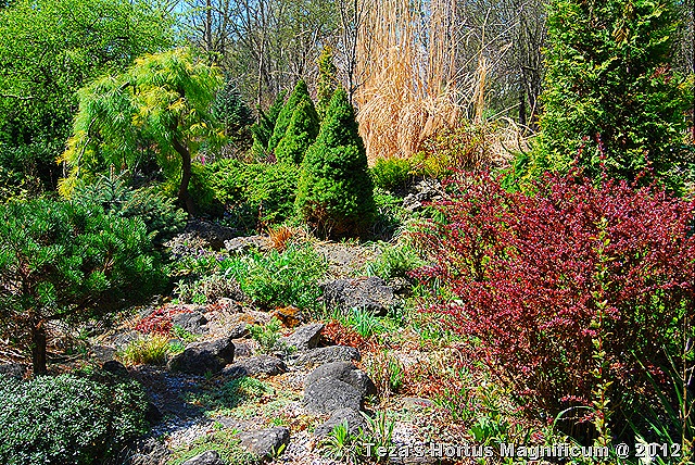 [DSC_0025%255B7%255D.jpg]