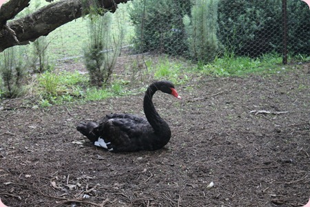 IMG_0366_resize