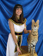 With Bastet