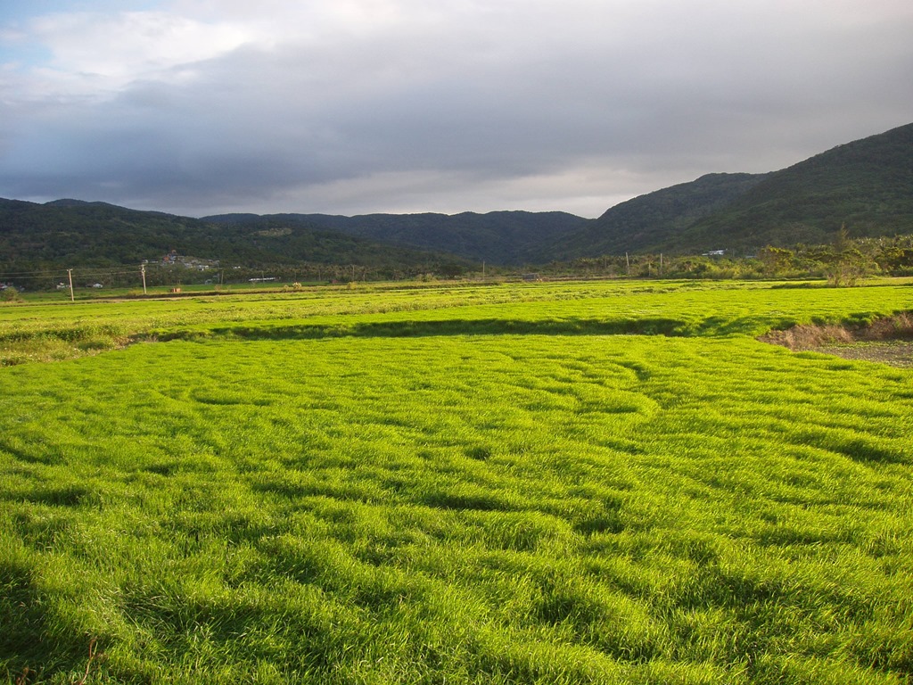 [gG%2520016%255B4%255D.jpg]