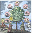 From Johann Daniel Mylius Philosophia Reformata Frankfurt 1622