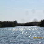 IMG_8006.JPG