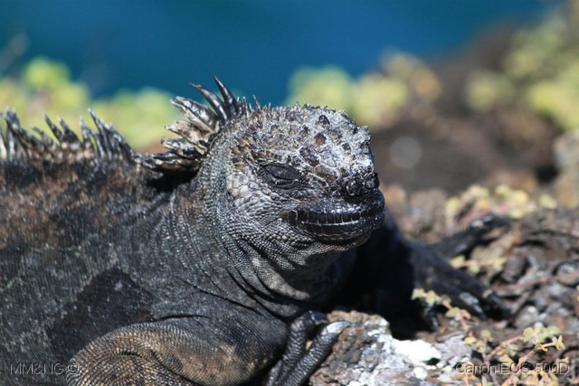 [IMG_9220%255B7%255D.jpg]