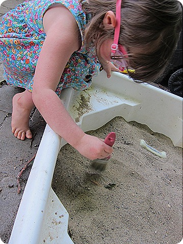IMG_0554 IMG_0554