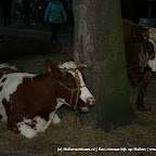 IMG_6185.JPG