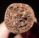 DSCN1319.JPG