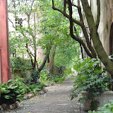 Beautiful alleyway.jpg