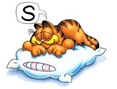 Sleep Sleep