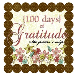 100 days of gratitude tag