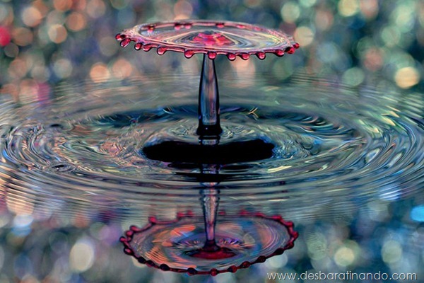 liquid-drop-art-gotas-caindo-foto-velocidade-hora-certa-desbaratinando (210)