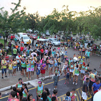  Carnaval_Cantanhede_Bloco_Cana_Limao_2012